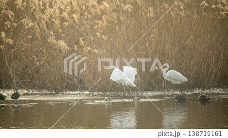 Hwarang Lake Hwarang Lake 138719161