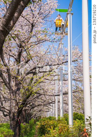 春のmeitoこどもランド・とだがわ、満開の桜とサイクルモノレール〈愛知県名古屋市〉 138719210