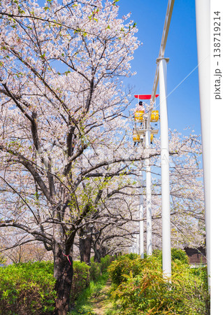 春のmeitoこどもランド・とだがわ、満開の桜とサイクルモノレール〈愛知県名古屋市〉 138719214