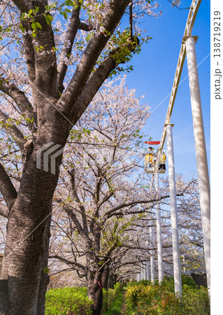 春のmeitoこどもランド・とだがわ、満開の桜とサイクルモノレール〈愛知県名古屋市〉 138719219