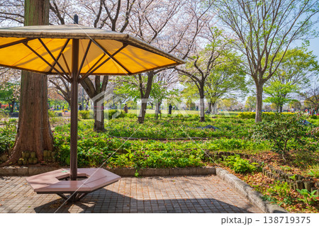 春の農業文化園・戸田川緑地、満開の桜〈愛知県名古屋市〉 138719375
