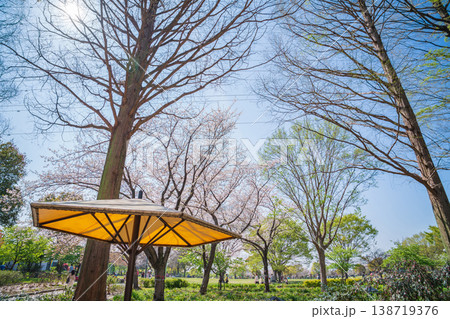 春の農業文化園・戸田川緑地、満開の桜〈愛知県名古屋市〉 138719376