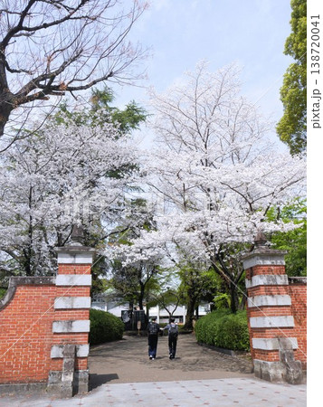 春の熊本大学 赤門と桜(熊本市) 春の熊本大学 赤門と桜(熊本市) 138720041