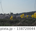 桜のある風景 138720044
