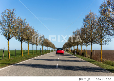 Scenic rural road red car driving rows trees across agricultural landscape clear blue sky Germany. Perspective composition creates travel, freedom, countryside transport and scenic driving concept Scenic rural road red car driving rows trees across agricultural landscape clear blue sky Germany. Perspective composition creates travel, freedom, countryside transport and scenic driving concept 138720672