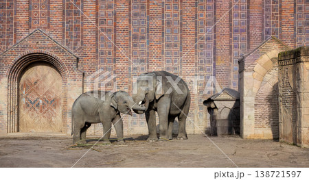 Adult and Baby Elephant in Front of Decorative Brick Wall Family Bond and Wildlife Conservation Concept Adult and Baby Elephant in Front of Decorative Brick Wall Family Bond and Wildlife Conservation Concept 138721597