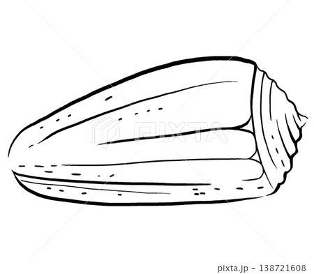Hand drawn seashell, black line isolated illustration. Outline element for beach wedding stationery Hand drawn seashell, black line isolated illustration. Outline element for beach wedding stationery 138721608