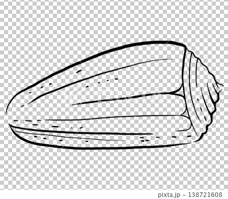 Hand drawn seashell, black line isolated illustration. Outline element for beach wedding stationery Hand drawn seashell, black line isolated illustration. Outline element for beach wedding stationery 138721608