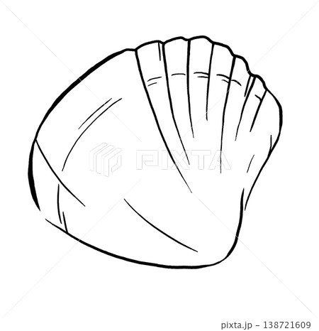 Hand drawn seashell, black line isolated illustration. Outline element for beach wedding stationery 138721609