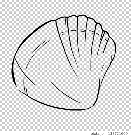 Hand drawn seashell, black line isolated illustration. Outline element for beach wedding stationery 138721609