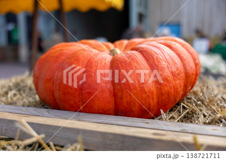 Large Orange Pumpkin On Hay Close Up Autumn Harvest Agriculture Food Background Large Orange Pumpkin On Hay Close Up Autumn Harvest Agriculture Food Background 138721711