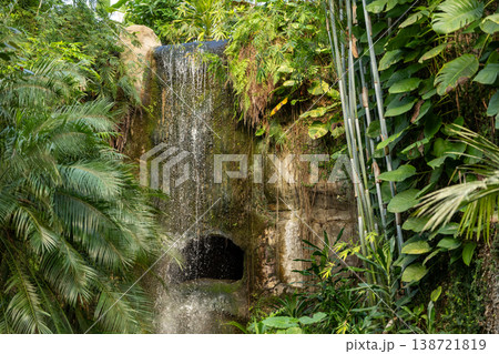 Lush Tropical Greenhouse with Waterfall and Exotic Plants 138721819