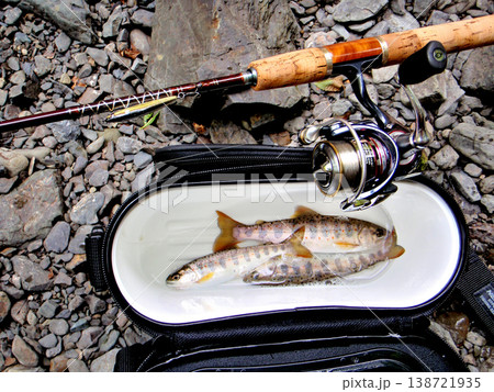 ルアーで釣った綺麗なアマゴ ルアーで釣った綺麗なアマゴ 138721935