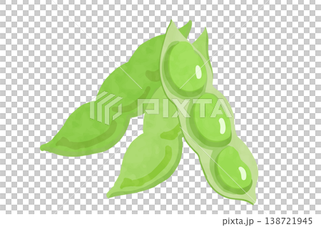 手繪風格毛豆向量圖 138721945