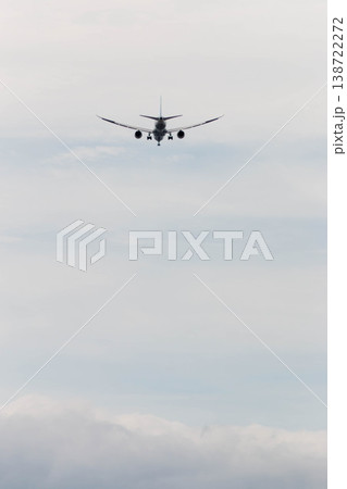 大空へ羽ばたく旅客機とコピースペース：ビジネスの飛躍と成長のイメージ 138722272