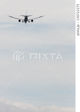 大空へ羽ばたく旅客機とコピースペース:ビジネスの飛躍と成長のイメージ 大空へ羽ばたく旅客機とコピースペース:ビジネスの飛躍と成長のイメージ 138722275