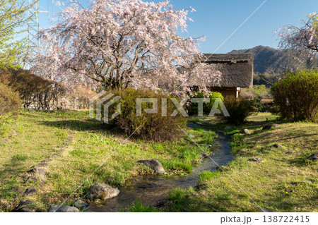 水車の里公園の桜 水車の里公園の桜 138722415