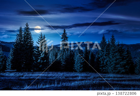 hillside with coniferous forest on a meadow in mountain landscape of Romania in autumn at night. full moon over mysterious view surrounded by spruce trees on the slope. transylvania wonderland 138722806