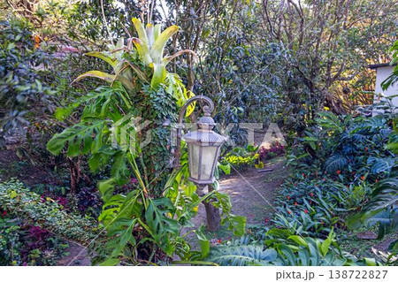 Tropical garden detail with plants and lantern Panama 138722827