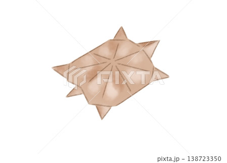 折り紙で作ったカメ 138723350