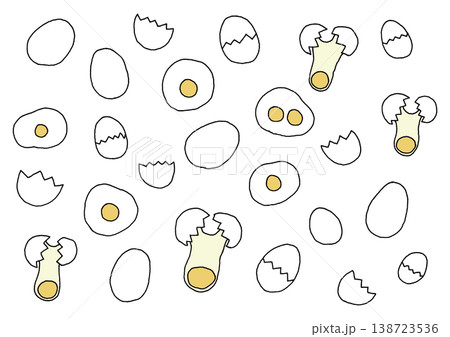 様々な状態の卵の手描きイラストセット（主線あり） 138723536