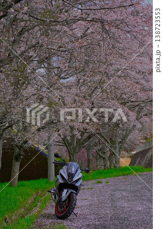 満開の桜とオートバイ 満開の桜とオートバイ 138723553