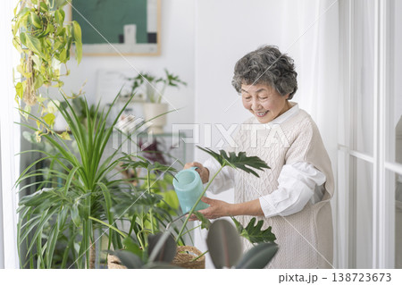 観葉植物に水をやるシニア女性 観葉植物に水をやるシニア女性 138723673