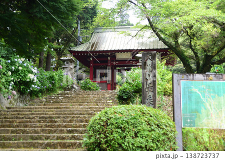 大雄山最乗寺 仁王門 大雄山最乗寺 仁王門 138723737