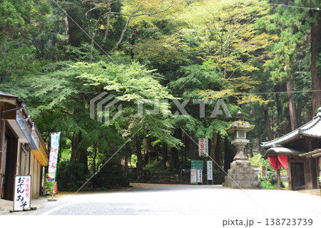 大雄山最乗寺 参道 大雄山最乗寺 参道 138723739