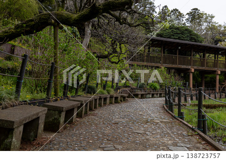 春　本土寺　境内風景　 138723757