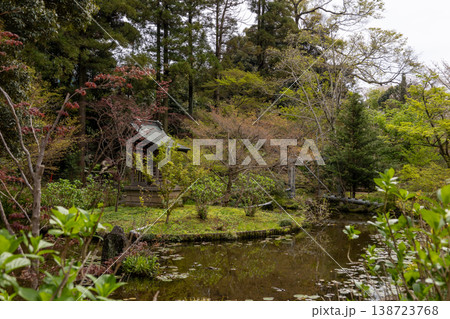 春　本土寺　境内風景　 138723768