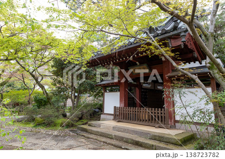 春　本土寺　境内風景　 138723782