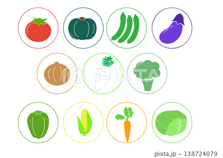 野菜のシンプルフラットアイコンセット 野菜のシンプルフラットアイコンセット 138724079