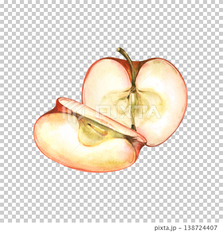 Watercolor illustration of a red apple cut into slices isolated on a white background. Botanical art with half-apple with seeds and a separate wedge. For organic food packaging, cider labels, recipe Watercolor illustration of a red apple cut into slices isolated on a white background. Botanical art with half-apple with seeds and a separate wedge. For organic food packaging, cider labels, recipe 138724407