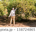 Farmer Harvesting Fresh Oranges in Sunny Orchard 138724865