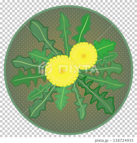 Dandelion illustration with a circular background Dandelion illustration with a circular background 138724935