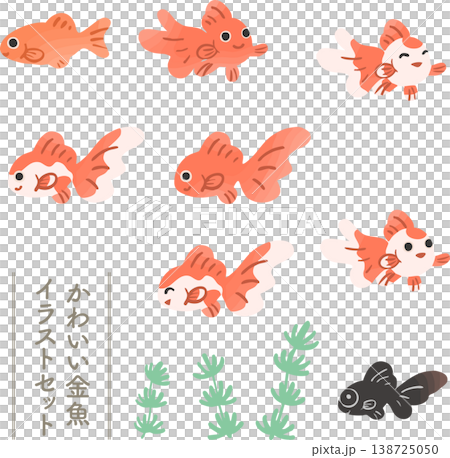 可愛的風格化金魚套裝向量插圖 | 日式風格素材，適用於夏季節日和撈金魚活動 138725050