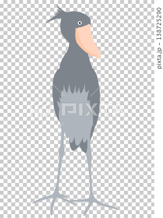 ハシビロコウ　横 138725290