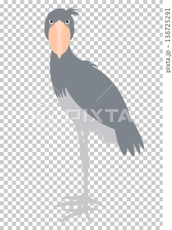 ハシビロコウ ハシビロコウ 138725291