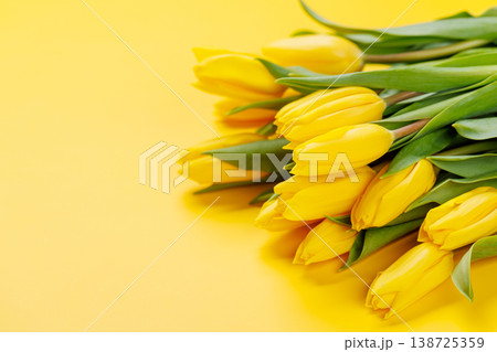 Yellow tulips on yellow background Yellow tulips on yellow background 138725359