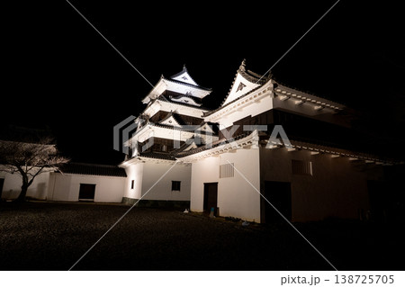 夜の大洲城の風景(大洲市) 夜の大洲城の風景(大洲市) 138725705