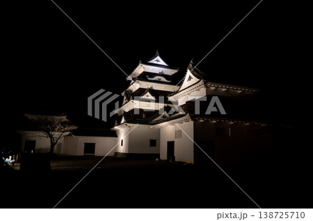 夜の大洲城の風景（大洲市） 138725710