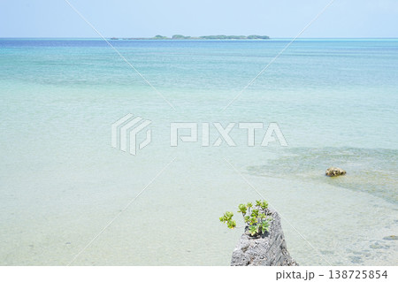 沖縄県_西表島_上原港 沖縄県_西表島_上原港 138725854