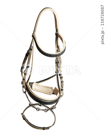 beautiful luxury leather  bridle with bit isolated on white background background 138726087