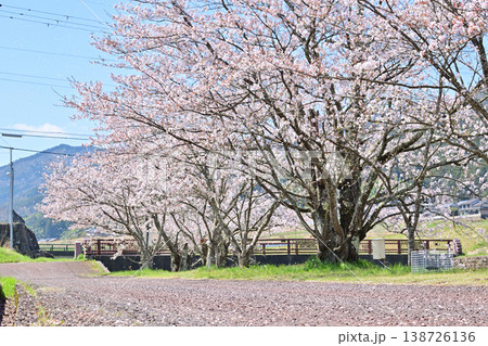 京都府与謝野町の野田川親水公園 京都府与謝野町の野田川親水公園 138726136
