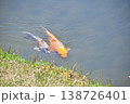 京都府与謝野町の野田川親水公園 138726401