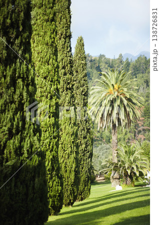 Landscape, garden and evergreen trees in nature for growth, sustainability and greenery in summer. Backyard, lawn and environment background with grass, scenery and woods or forest in countryside Landscape, garden and evergreen trees in nature for growth, sustainability and greenery in summer. Backyard, lawn and environment background with grass, scenery and woods or forest in countryside 138726831