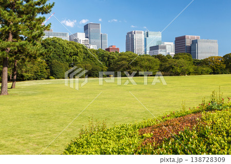 Tokyo Central Parks and Green Urban Spaces 138728309