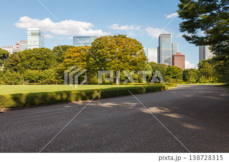 Tokyo Central Parks and Green Urban Spaces Tokyo Central Parks and Green Urban Spaces 138728315