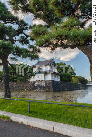 Tokyo Imperial Palace and Surrounding Gardens 138728321